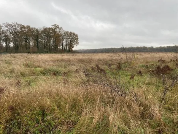 Terrain 427 m²