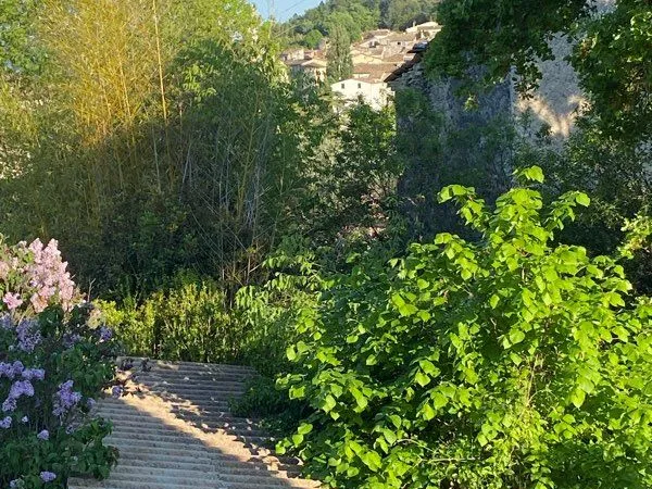 Location T2 meublé à Forcalquier