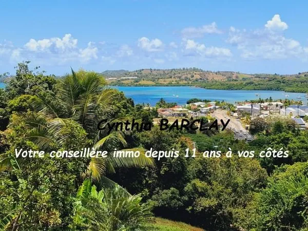 Maison Vente Le Robert 8p 186m² 380000€