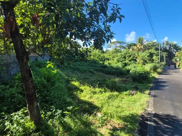 Terrain 1299 m²