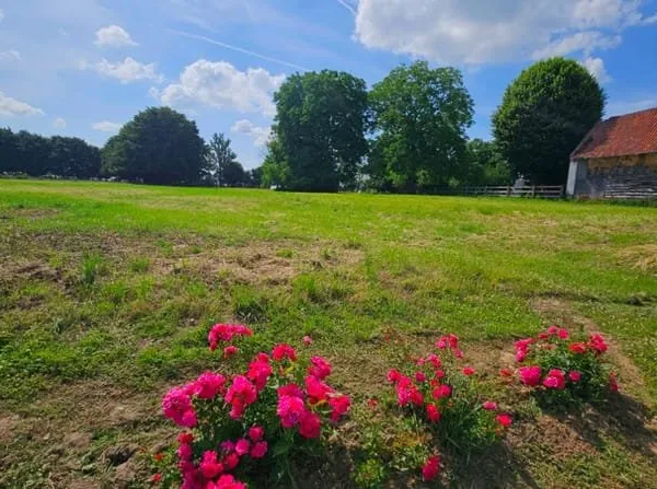 Terrain 3883 m²
