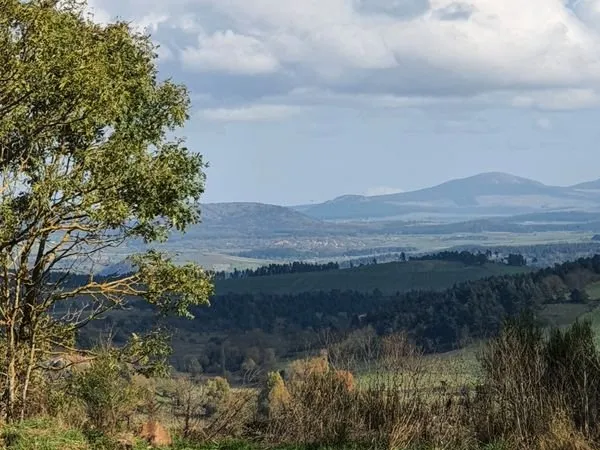 Terrain à vendre