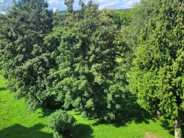 Appartement 4 pièces 96 m²