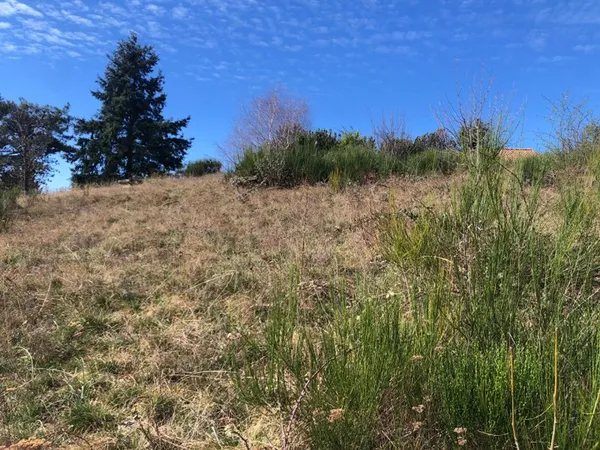 Terrain 1000 m²