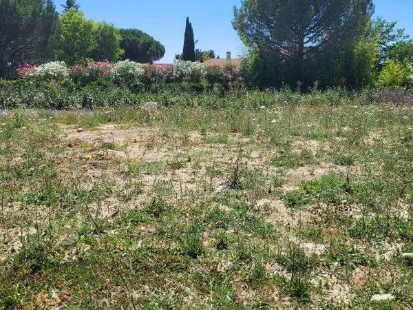 Terrain constructible