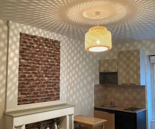 Studio 1 pièce 18 m²