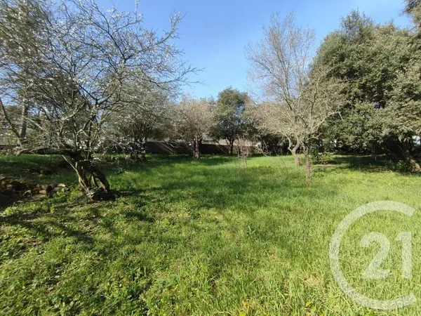 Terrain 2220 m²