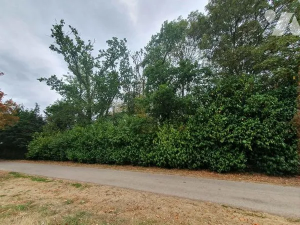 Terrain 770 m²