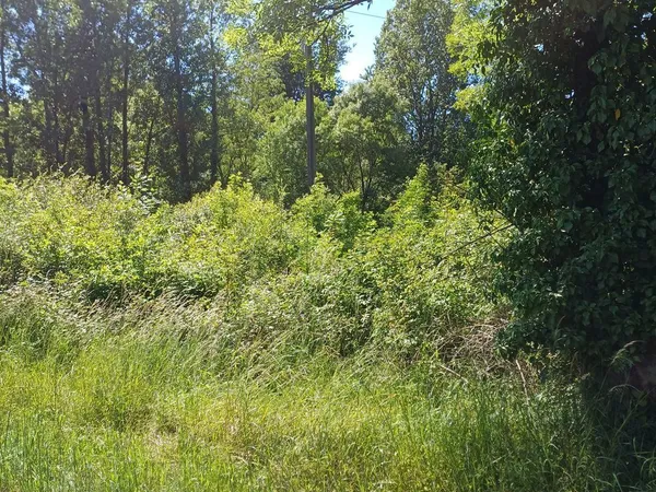 Terrain de 10000m2 2x5000m2 partagé par un petit ruisseau