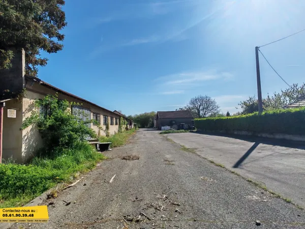 Local 800 m²