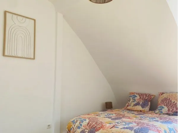 Colocation COSY hyper-centre Mulhouse (Nouveau)