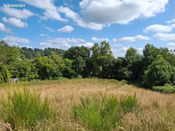 Terrain 3600m2 avec petit chalet