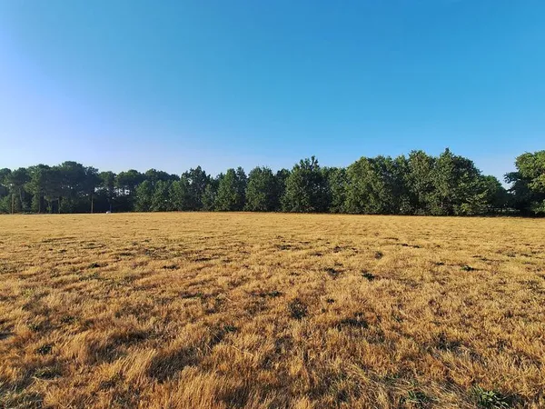 Terrain 13502 m² CREON