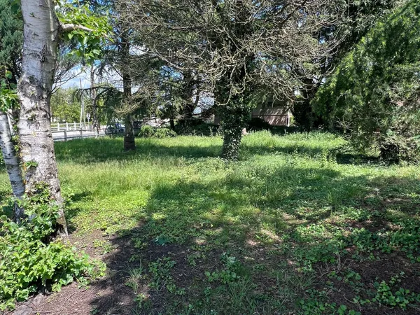 Terrain 562 m²