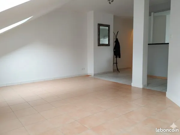 Vend appartement T3 centre ville
