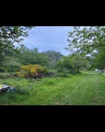 Terrain naturel
