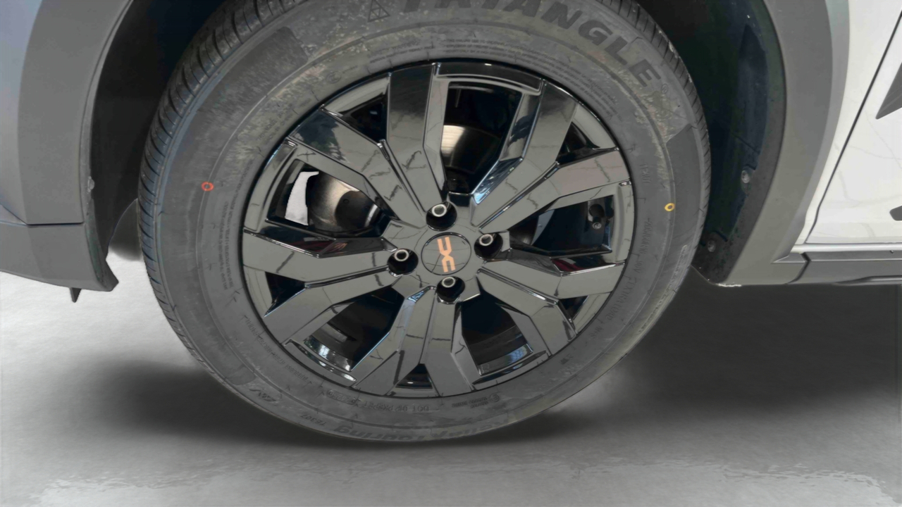 Dacia Sandero ECO-G 100 — photo 14