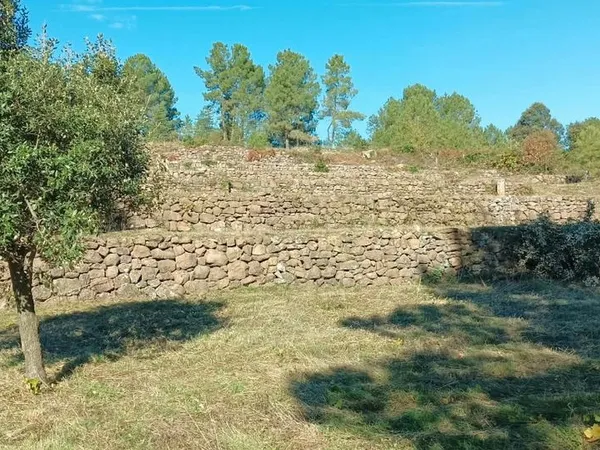 Location terrain agricole