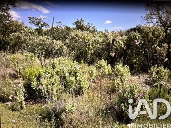 Terrain 10077 m²