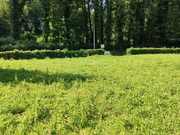 Terrain en individuel 1161 m²