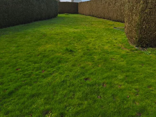 Terrain 331 m² 56 270 170 / m²