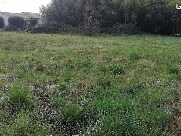 Terrain constructible
