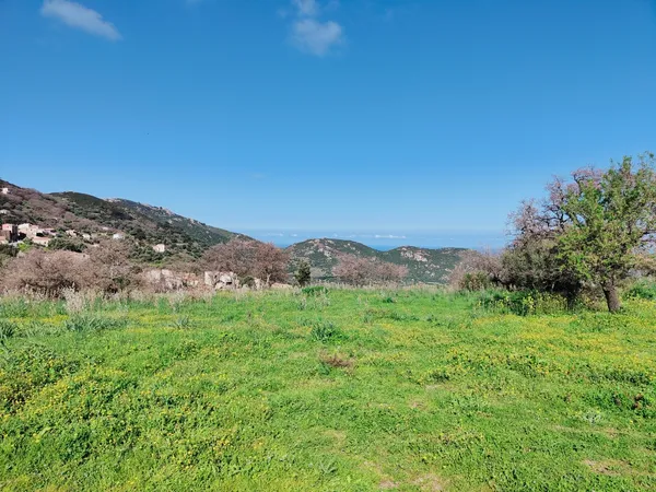 Terrain 2247 m²