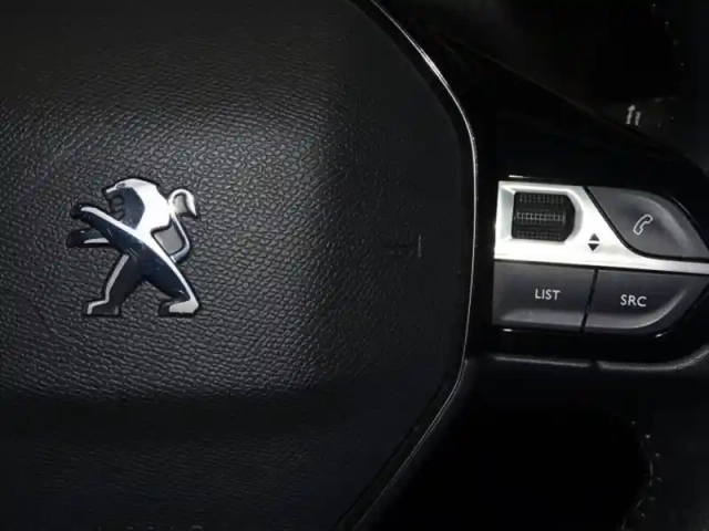 Peugeot 208 1.2 puretech 75ch s&amp;s active business — photo 13