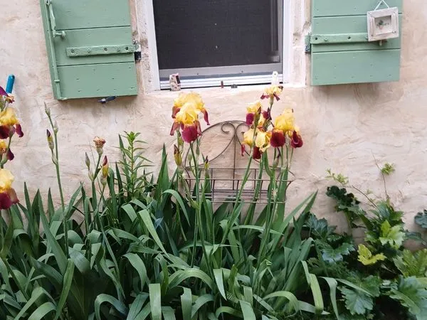Location chambre à la campagne