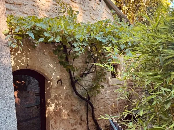 Maison meublée dans le parc d'un château CHALANDRAY
