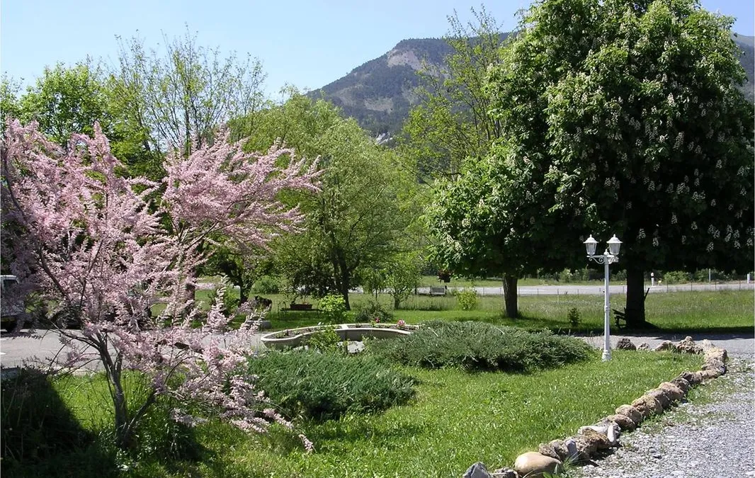 Photo 4