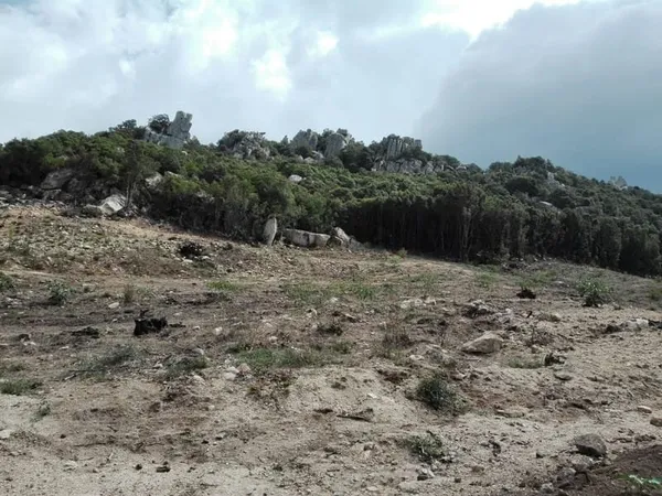 Terrain 2398 m²