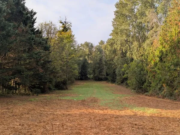 Terrain 3776 m²