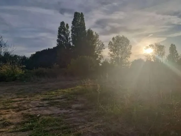 Terrain 300 m²