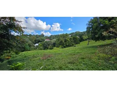 Terrain Le Robert 1333 m2