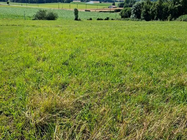 Vendre 2 lots de terrain