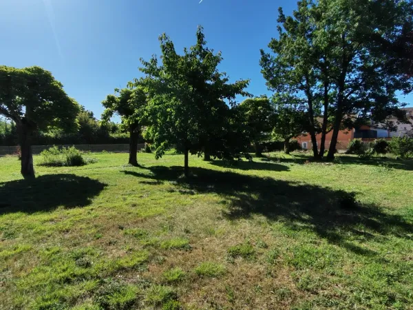 Terrain 956 m²