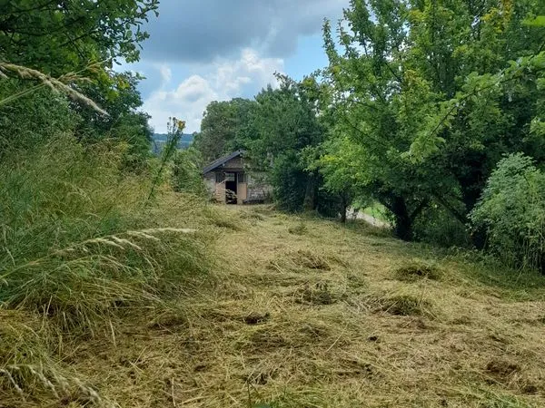 Vend terrain / verger avec abri de jardin