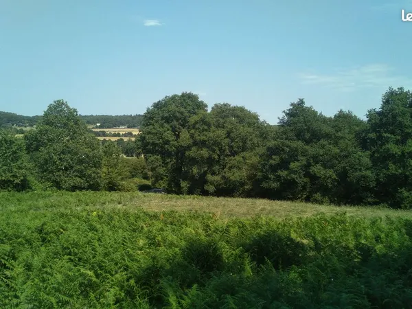 Terrain bois prairie