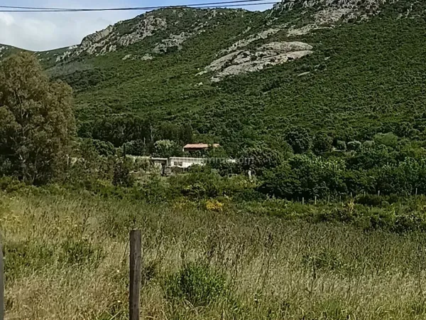 Terrain 2620 m²