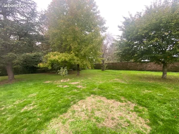 Terrain constructible
