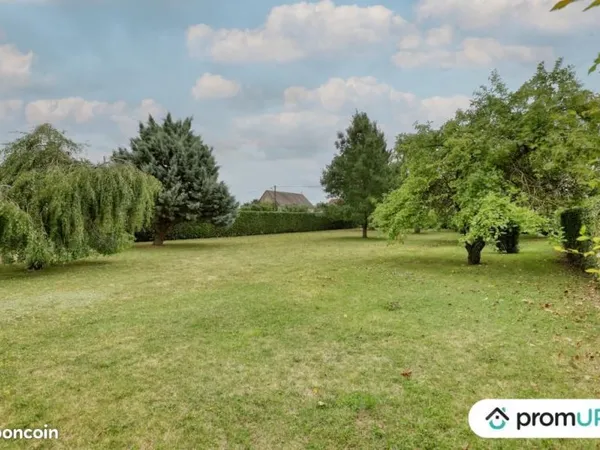 Terrain 1 000 m² Oison