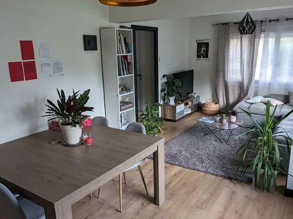 Colocation chambre