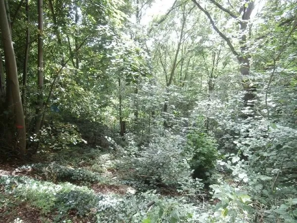 Terrain 455 m²