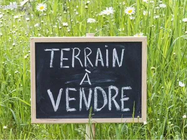 Terrain constructible