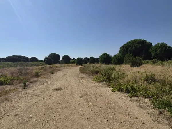Terrain 433 m² Latour-Bas-Elne