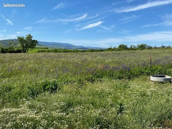 Terrain 312 m² TARTARAS