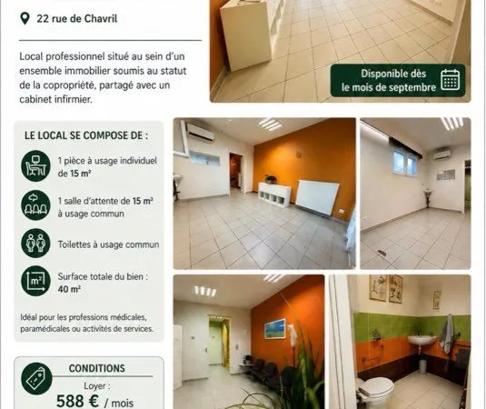 Location local professionnel