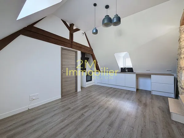 A louer appartement de 46,59 m2 au sol, et 37,34 m2 en loi c