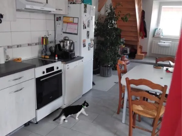 Appartement T3
